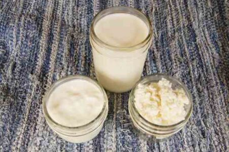 Raw Milk Is an Ingredient, Not Just a Drink Image